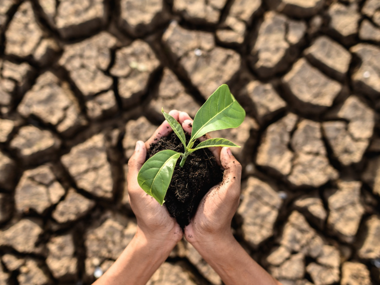 Presentan plan para proteger la salud frente a los desafíos del cambio climático